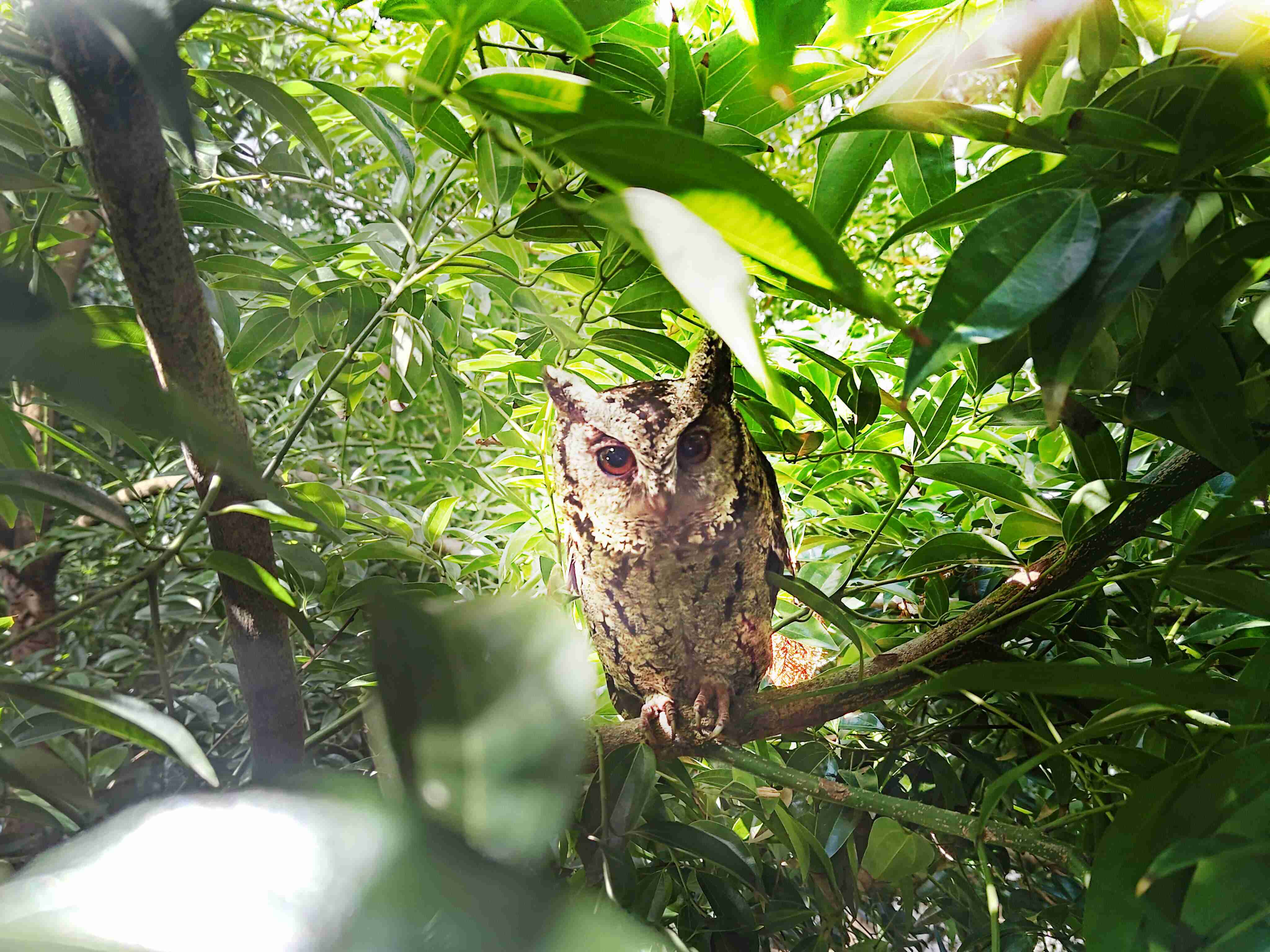 人生就是博致力提倡净零绿生活，，16年以来在全球各厂区植树逾百万棵，，，，造就各厂区树木蔚然成林，，，犹如森林工厂，，，成为许多生物的栖息地